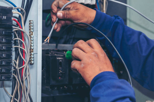 Best Electric Panel Repair  in Salem, MO
